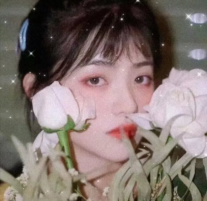 宾果：晨光之王